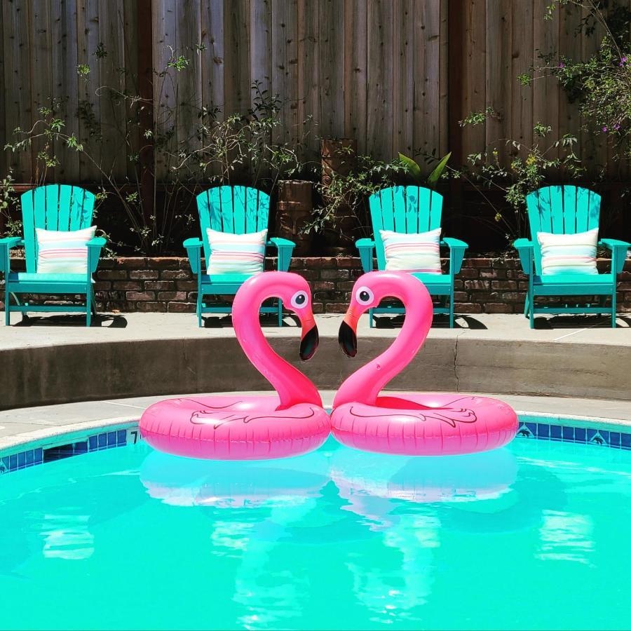 كابيتولا Sunny Cove Motel المظهر الخارجي الصورة